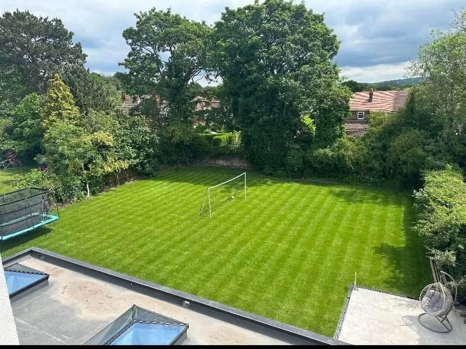 Elevated view of a large striped lawn surrounded by trees